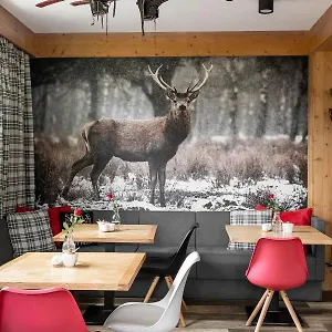 Homestay szállás Klimkowka, Zakopane